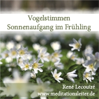 Home 10 Vogelgesang im Sonnenaufgang