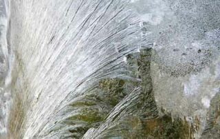 Klang Meditations-Abend am 10. Jan in Berlin Wilmersdorf 7 Eisblume