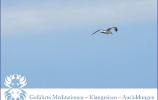 Neue "Grüne" Print~Werbung für Meditationsleiter 2014 2 Werbung Meditationsleiter 2013 ~ Vorderseite