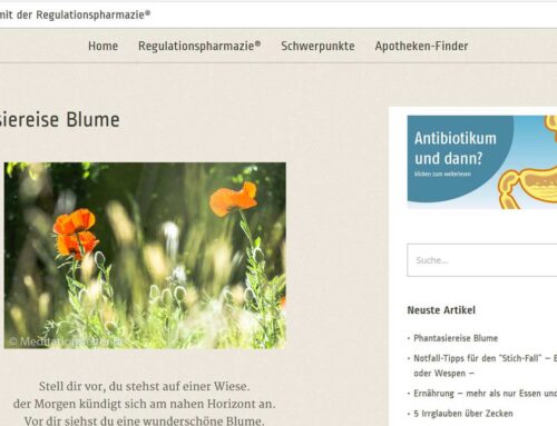 Unsere Phantasiereise „Die Blume“ auf Natürlich-Netzwerk.de