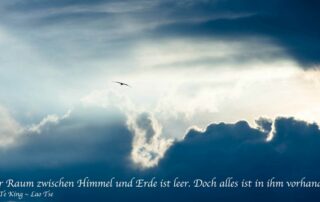 Möwe Über den Wolken ~ Zitat Lao Tse