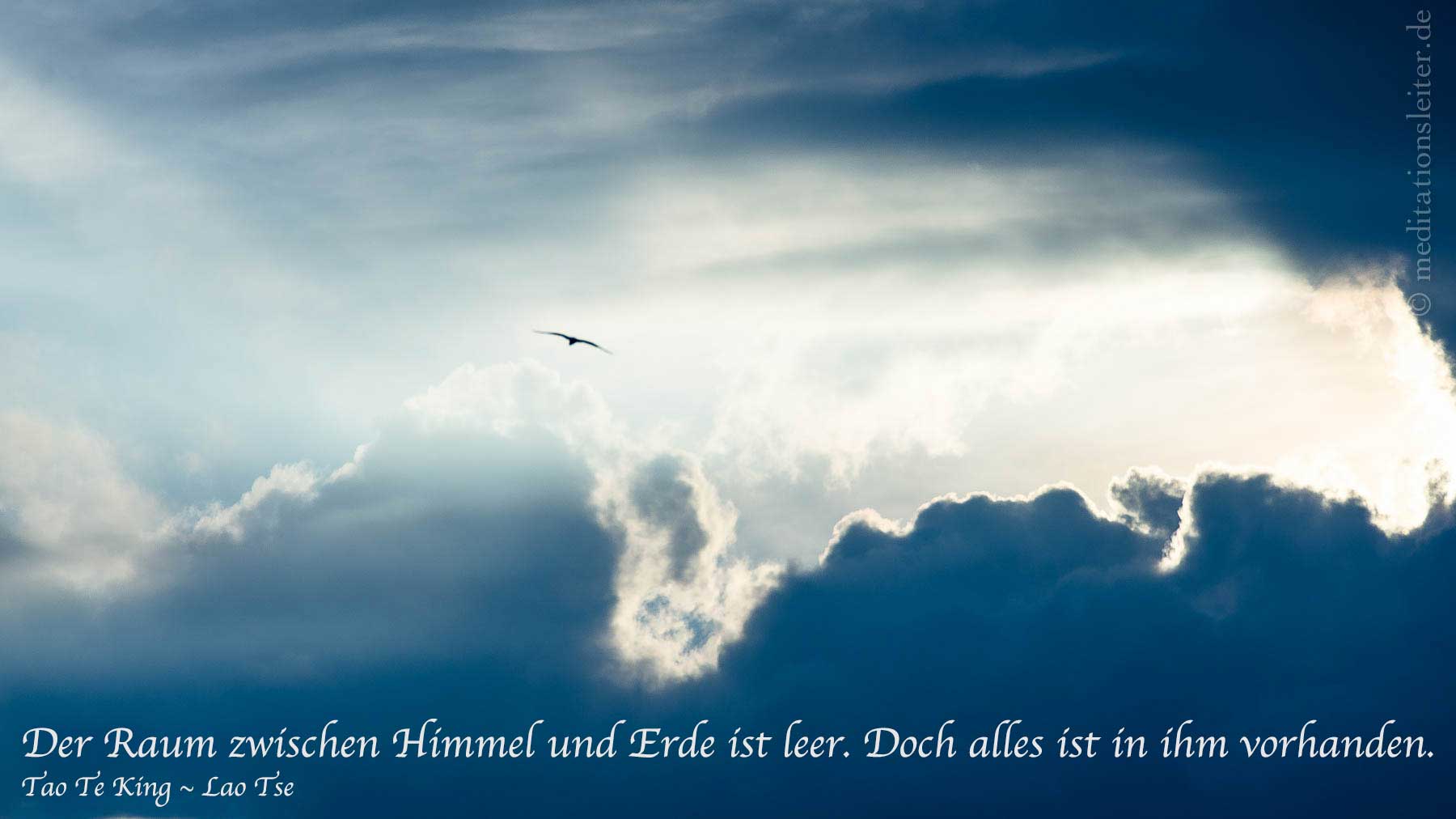 Möwe Über den Wolken ~ Zitat Lao Tse