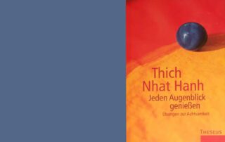 jeden augenblick geniessen thich nath hanh