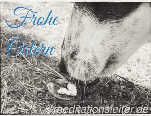 Frohe Ostern