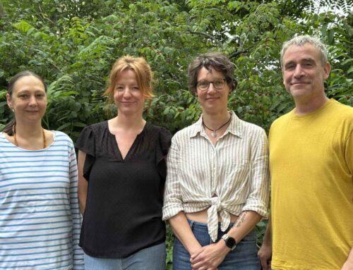 2025 – Drei neue Meditationsleiterinnen in Berlin