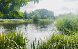 Regen auf dem Finowkanal